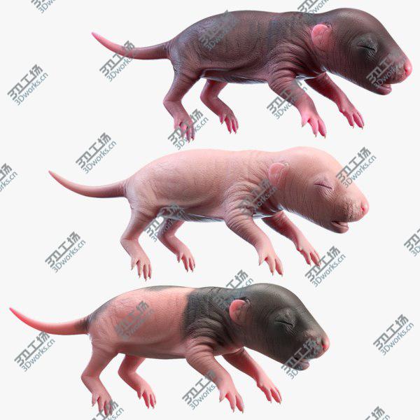 images/goods_img/20210312/Rat Baby Newborn Collection model/1.jpg